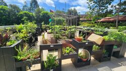Wandervale (D23), Condominium #437562191